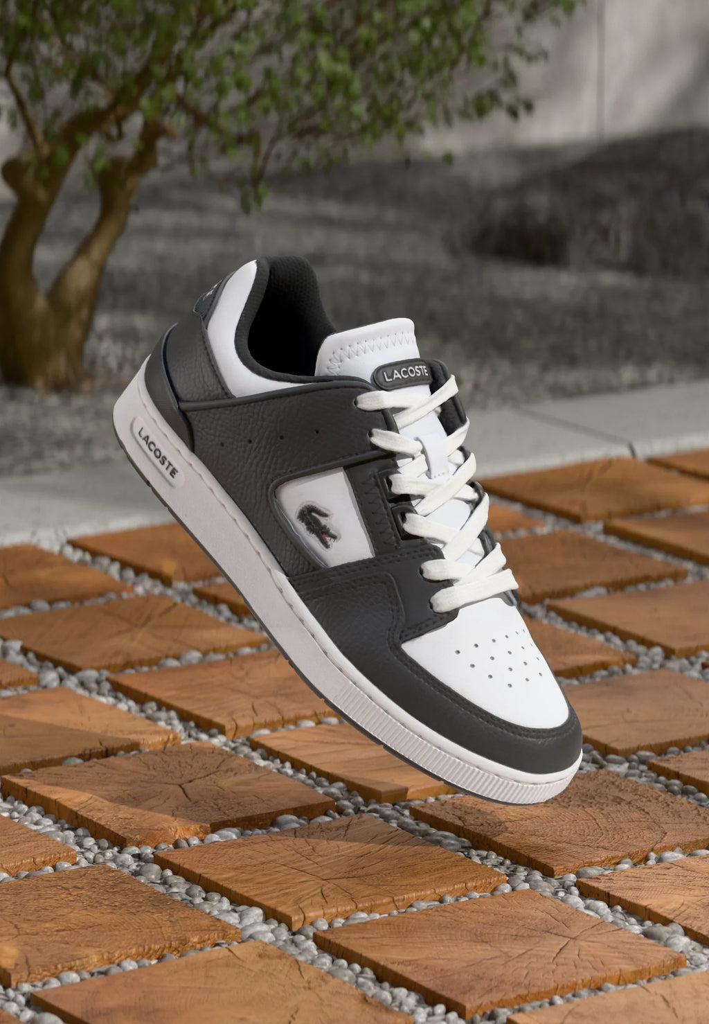 Lacoste Court Cage Black Sneaker