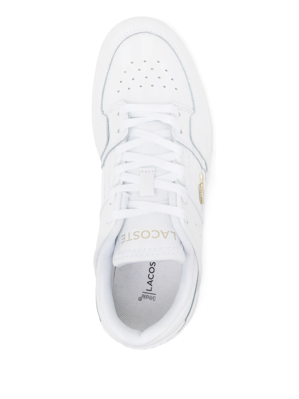 Lacoste Court Cage White Sneaker